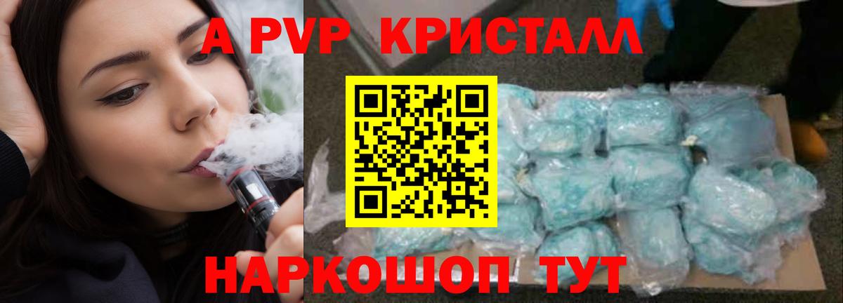 APVP СК Вологда