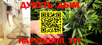 стаф Донской