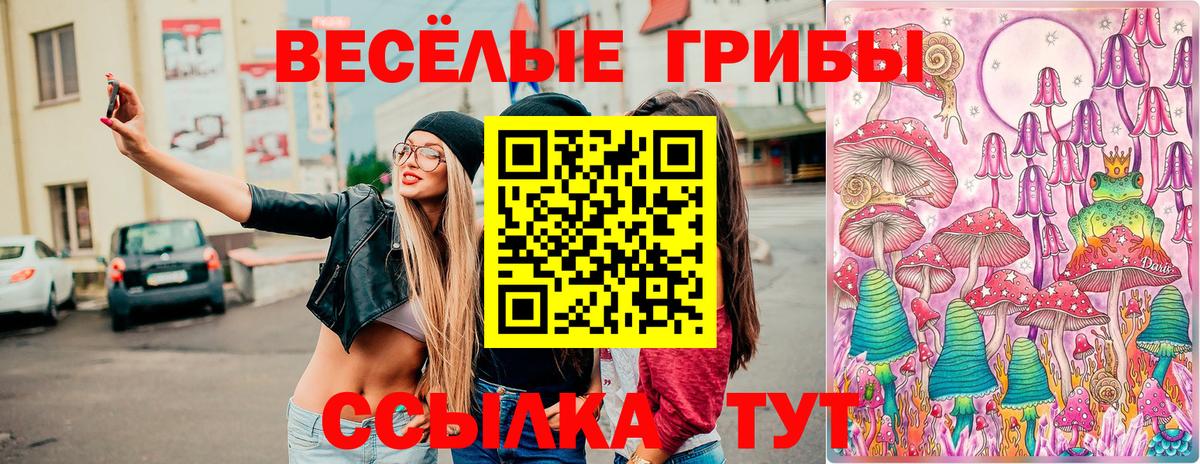Галлюциногенные грибы ЛСД  закладки  Вологда  Вход с VPN  Галлюциногенные грибы GOLDEN TEACHER 