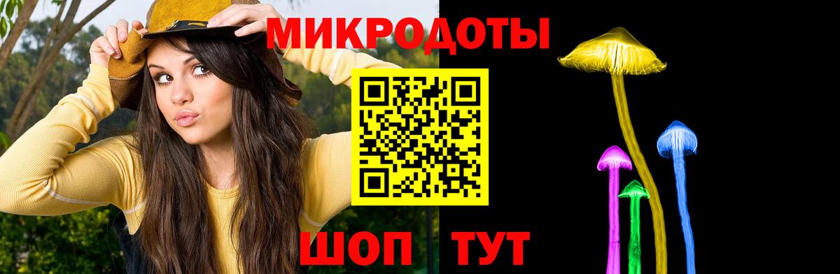 Псилоцибиновые грибы Cubensis Вологда