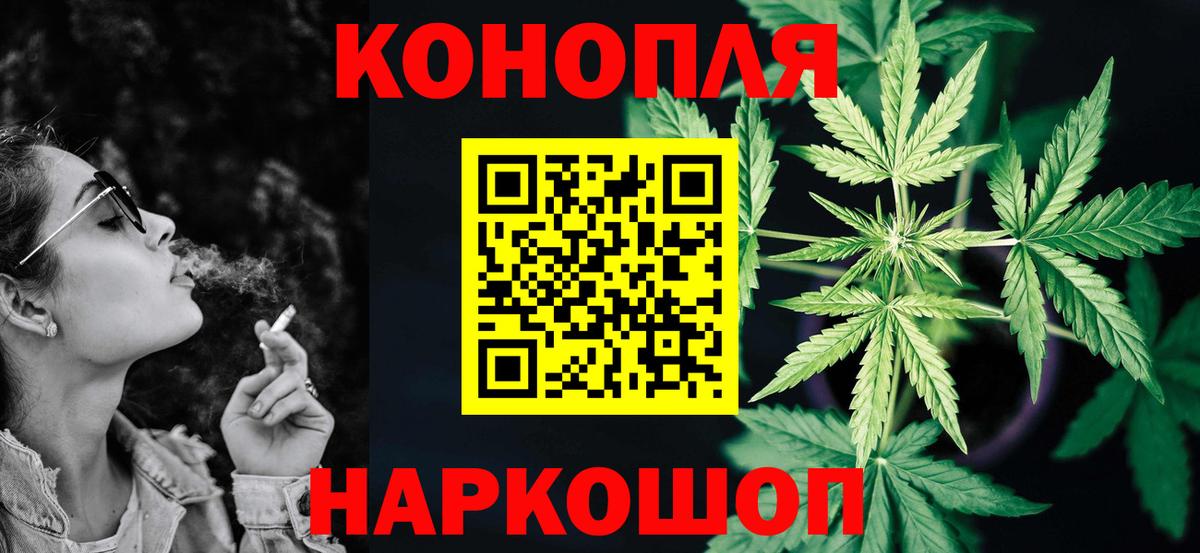 Конопля гибрид Вологда